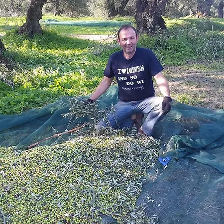 Antonio Willa Romírion