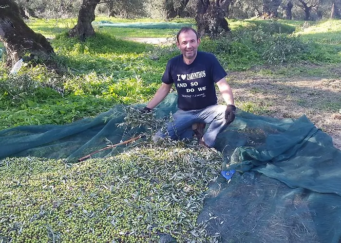 Antonio Villa Romírion